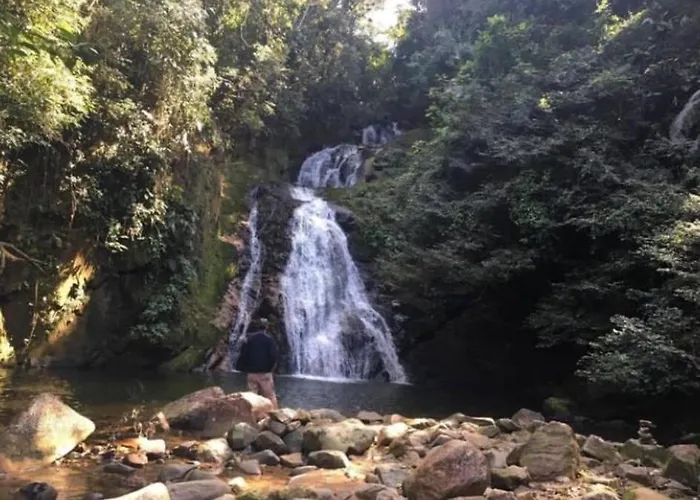 Chacara Na Mata Atlantica
