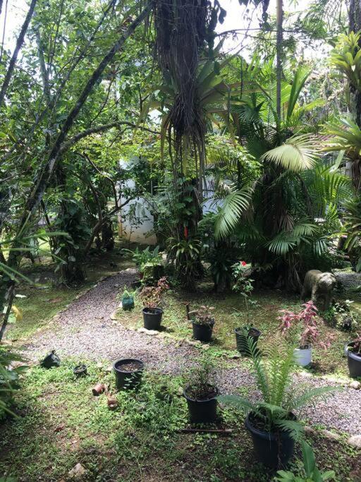 Chacara Na Mata Atlantica Morretes
